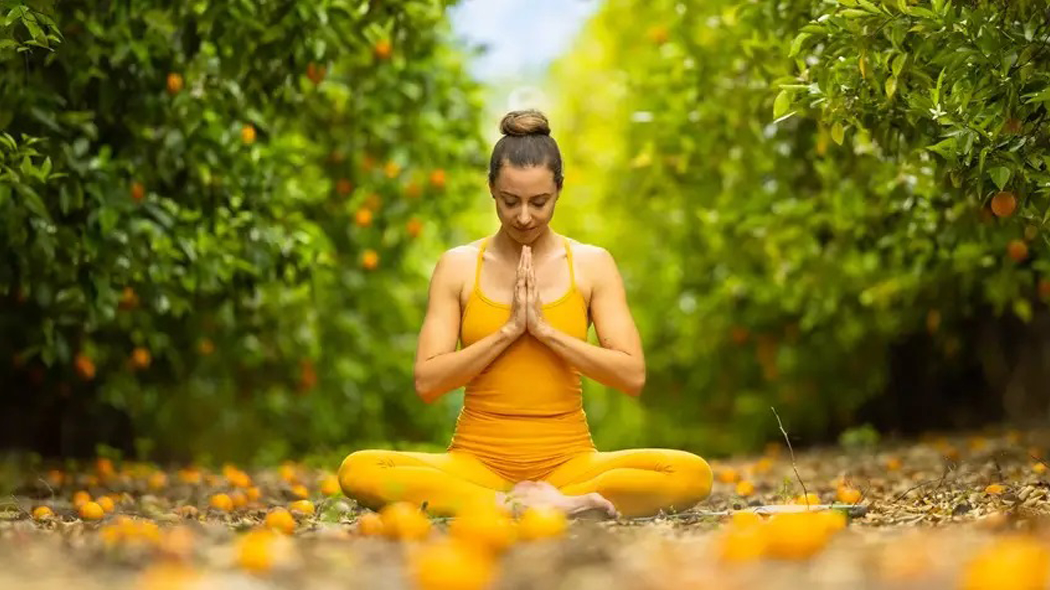 The-Vedic-Mind